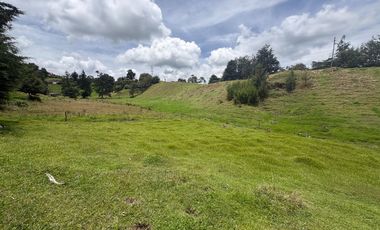 Finca con abundantes aguas en San Félix
