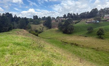 Finca con abundantes aguas en San Félix
