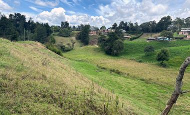 Finca con abundantes aguas en San Félix