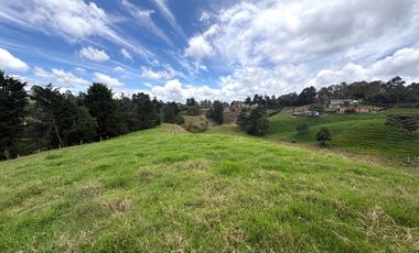 Finca con abundantes aguas en San Félix