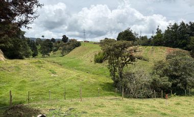 Finca con abundantes aguas en San Félix