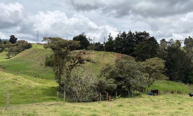 Finca con abundantes aguas en San Félix