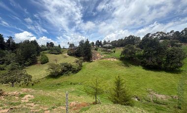 Finca con abundantes aguas en San Félix
