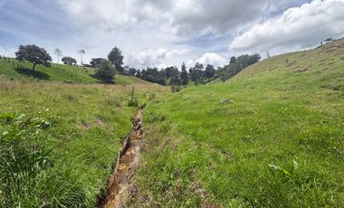 Finca con abundantes aguas en San Félix