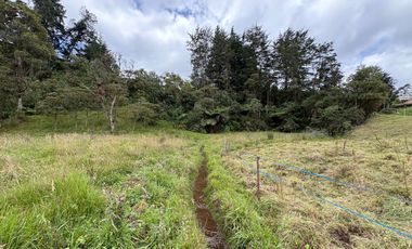 Finca con abundantes aguas en San Félix