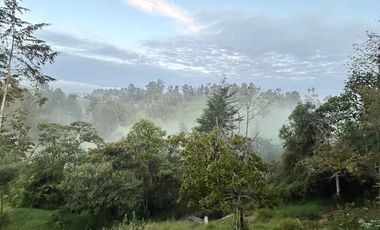 Finca con abundantes aguas en San Félix