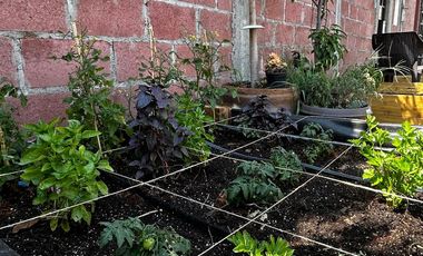 Propiedad con infraestructura ecológica + modelo de negocio operando.