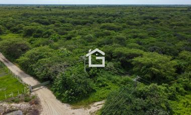 Terreno en Venta en Huaquillas – 10 Hectáreas con Alto Potencial de Desarrollo