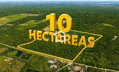 Terreno en Venta en Huaquillas – 10 Hectáreas con Alto Potencial de Desarrollo