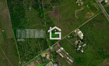 Terreno en Venta en Huaquillas – 10 Hectáreas con Alto Potencial de Desarrollo