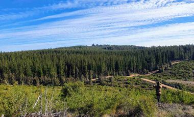 “Parcelas en Pichilemu | 5.000 m², acceso asfaltado y excelente proyección de inversión”