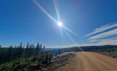“Parcelas en Pichilemu | 5.000 m², acceso asfaltado y excelente proyección de inversión”