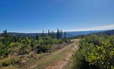 “Parcelas en Pichilemu | 5.000 m², acceso asfaltado y excelente proyección de inversión”