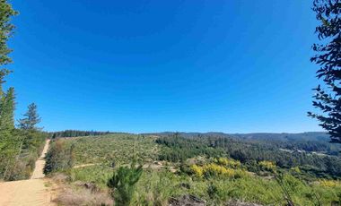“Parcelas en Pichilemu | 5.000 m², acceso asfaltado y excelente proyección de inversión”