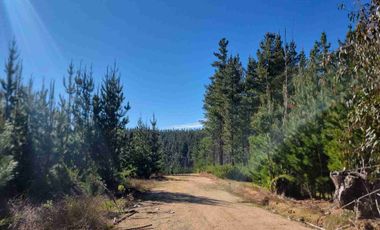 “Parcelas en Pichilemu | 5.000 m², acceso asfaltado y excelente proyección de inversión”