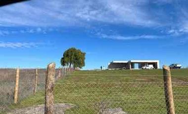 vendo parcelas en litueche, *5.000 m2 
* Rol propio individual 
* Listo para escriturar
* Documentación al día (CBR / SII/SAG)