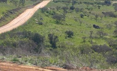vendo parcelas en litueche, *5.000 m2 
* Rol propio individual 
* Listo para escriturar
* Documentación al día (CBR / SII/SAG)