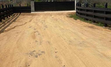 vendo parcelas en litueche, *5.000 m2 
* Rol propio individual 
* Listo para escriturar
* Documentación al día (CBR / SII/SAG)