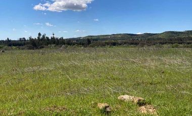 vendo parcelas en litueche, *5.000 m2 
* Rol propio individual 
* Listo para escriturar
* Documentación al día (CBR / SII/SAG)