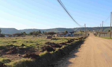REMATE DE PARCELAS A 12.990.000 EN LITUECHE
