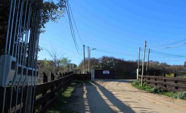 REMATE DE PARCELAS A 12.990.000 EN LITUECHE