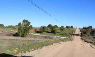 REMATE DE PARCELAS A 12.990.000 EN LITUECHE