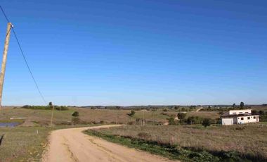 REMATE DE PARCELAS A 12.990.000 EN LITUECHE