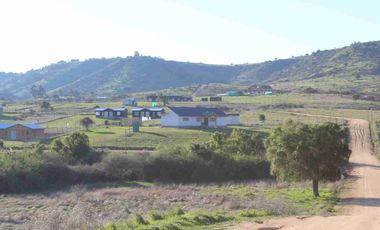 REMATE DE PARCELAS A 12.990.000 EN LITUECHE
