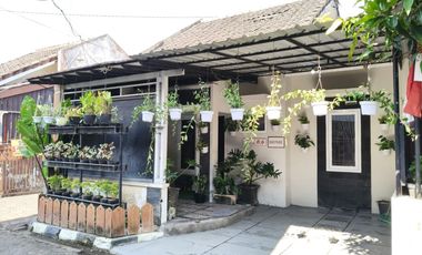 6 Menit ke Ringroad! Rumah Murah Akses Mudah Banyak Bonusnya!