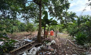 Tanah Murah Perumahan Dosen Unhas Cocok Buat Perumahan Dekat SD Ar-Rahmah Dekat Kampus Unhas