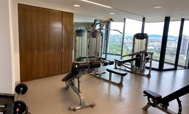 Rento lindo loft amueblado ferfil ejecutivo  1 recamara en  Adamant 2 sobre Via Atlixcayotl con amenidades $15,000