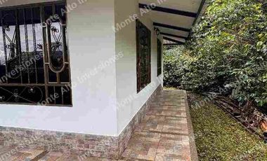 LOTE en venta 3000 m mango Apto para lo que quieras!! todo al día 
💵 ¡PRECIO DE OPORTUNIDAD! Por debajo del avalúo comercial.
