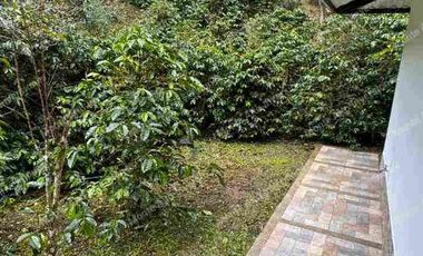LOTE en venta 3000 m mango Apto para lo que quieras!! todo al día 
💵 ¡PRECIO DE OPORTUNIDAD! Por debajo del avalúo comercial.