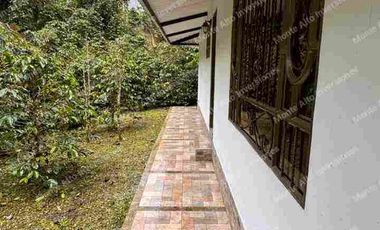 LOTE en venta 3000 m mango Apto para lo que quieras!! todo al día 
💵 ¡PRECIO DE OPORTUNIDAD! Por debajo del avalúo comercial.