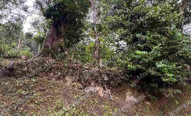 LOTE en venta 3000 m mango Apto para lo que quieras!! todo al día 
💵 ¡PRECIO DE OPORTUNIDAD! Por debajo del avalúo comercial.