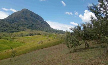 3,000 M² ideal para tu proyecto