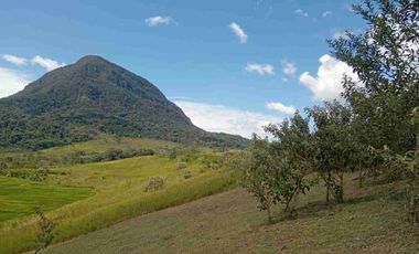 3,000 M² ideal para tu proyecto