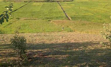 3,000 M² ideal para tu proyecto