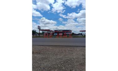 Terreno Agricola Pucalpa Plena Carretera Jorge Basadre Km 15