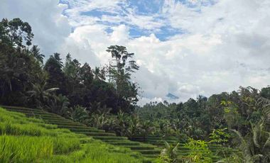 tanah kebun sangat murah dengan view sawah, gunung dan los sungai di tabanan bali