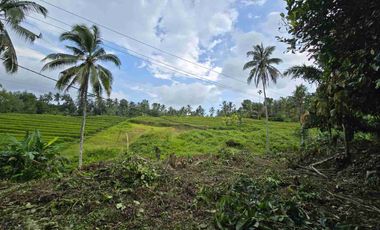 tanah kebun sangat murah dengan view sawah, gunung dan los sungai di tabanan bali