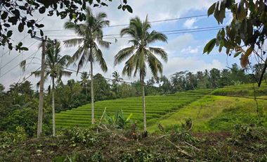tanah kebun sangat murah dengan view sawah, gunung dan los sungai di tabanan bali