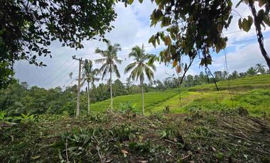 tanah kebun sangat murah dengan view sawah, gunung dan los sungai di tabanan bali