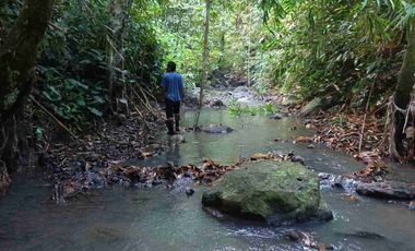 tanah kebun sangat murah dengan view sawah, gunung dan los sungai di tabanan bali