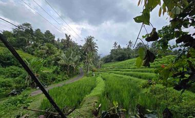 tanah kebun sangat murah dengan view sawah, gunung dan los sungai di tabanan bali