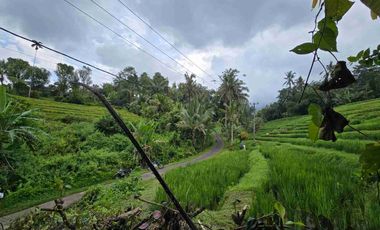 tanah kebun sangat murah dengan view sawah, gunung dan los sungai di tabanan bali