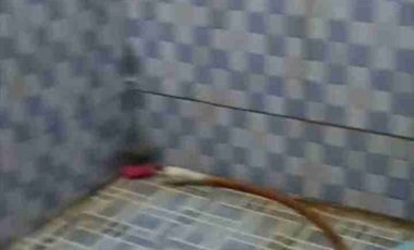 Dijual rumah Lenteng Agung, Jakarta Sltn. 250 jt