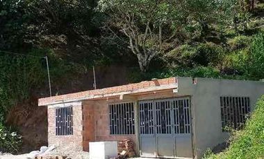 🥑 Finca Productiva de 1.5 Ha en Palocabildo – Con Casa, Cultivos y Borde de Carretera