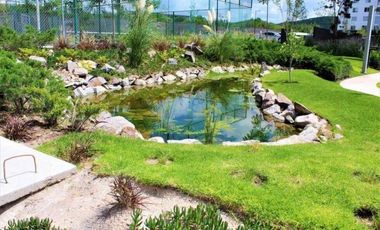 Santa Fe Juriquilla Garden en renta en Juriquilla con jardín de 150 m² IO128