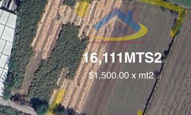 ATENCIÓN INVERSIONISTAS TERRENO EN VENTA EN YAUTEPEC MORELOS